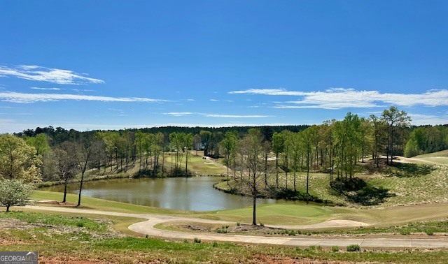 109 Heights Avenue Forsyth GA 31029