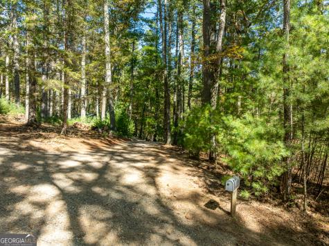 250 Chinkapin Drive Blue Ridge GA 30513