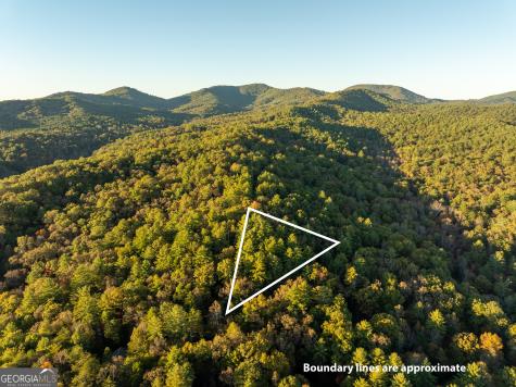 250 Chinkapin Drive Blue Ridge GA 30513