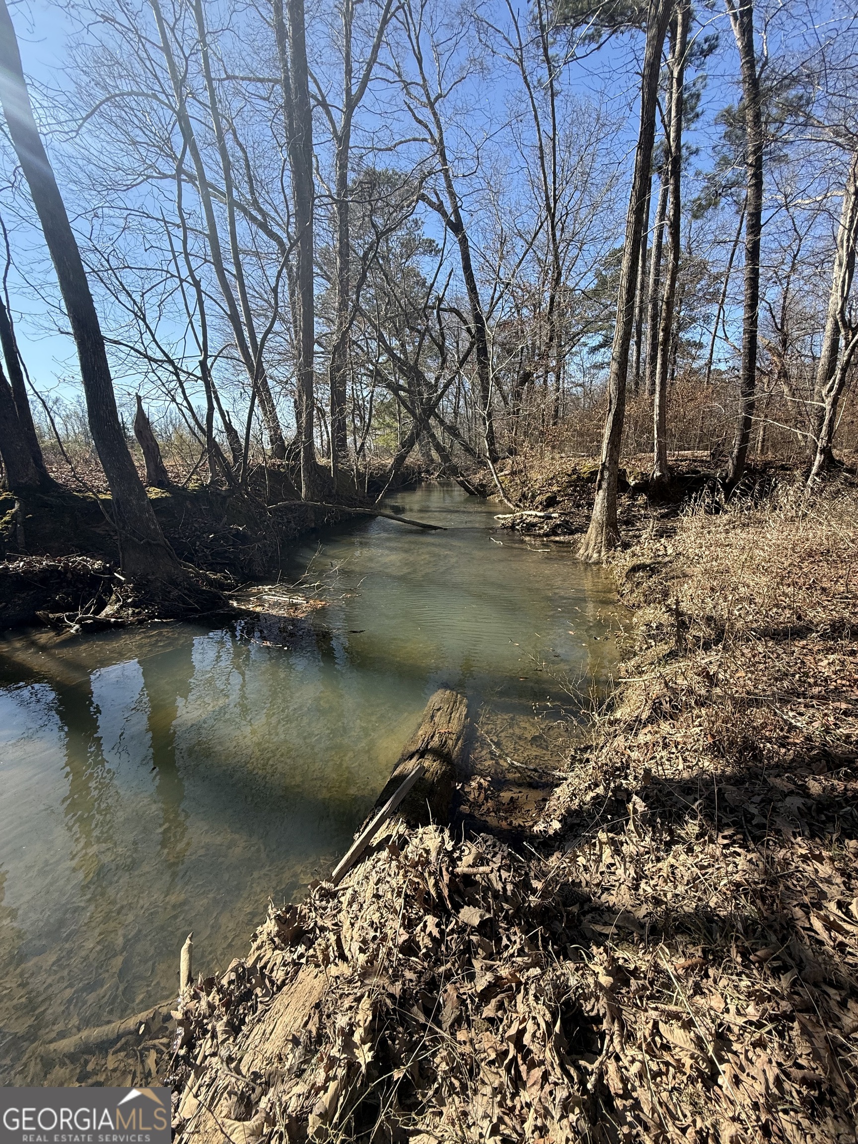 2053 Buttermilk Road SW Cave Spring GA 30124