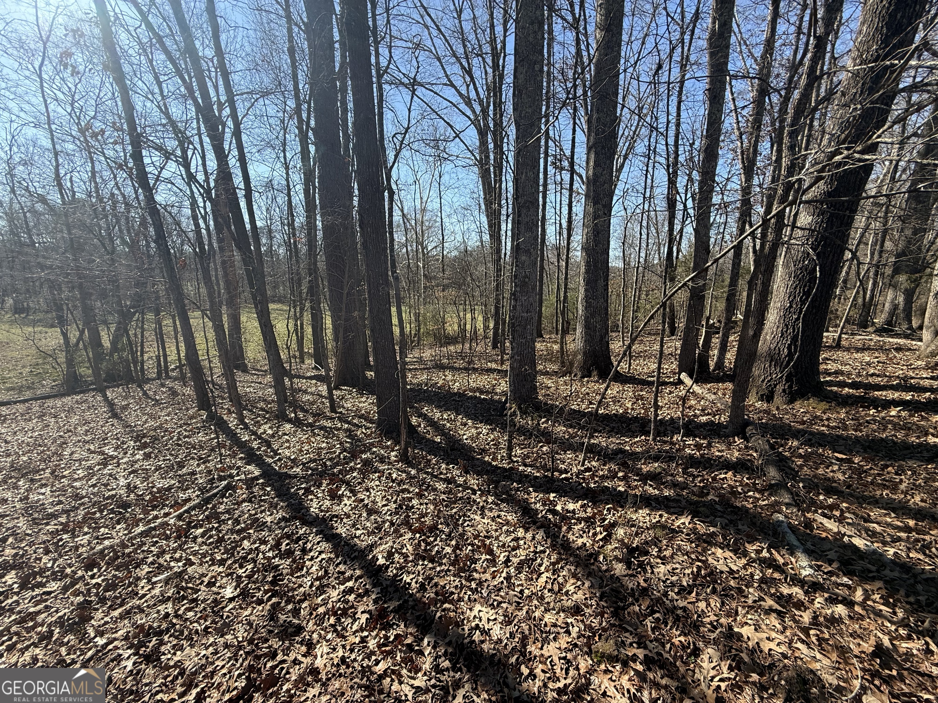 2053 Buttermilk Road SW Cave Spring GA 30124