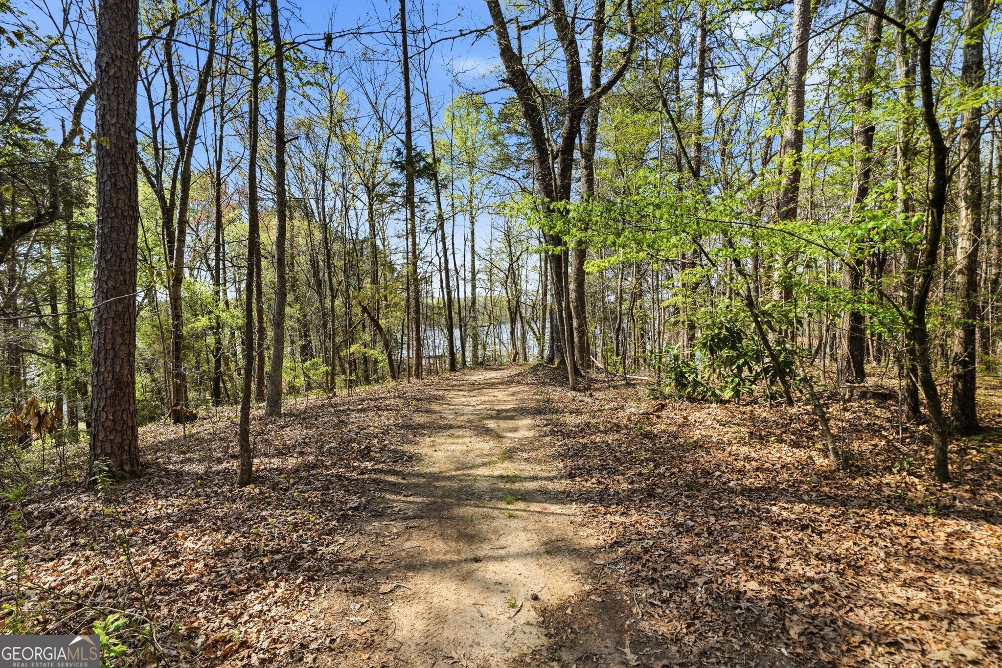 181 Woodland Circle Dawsonville GA 30534