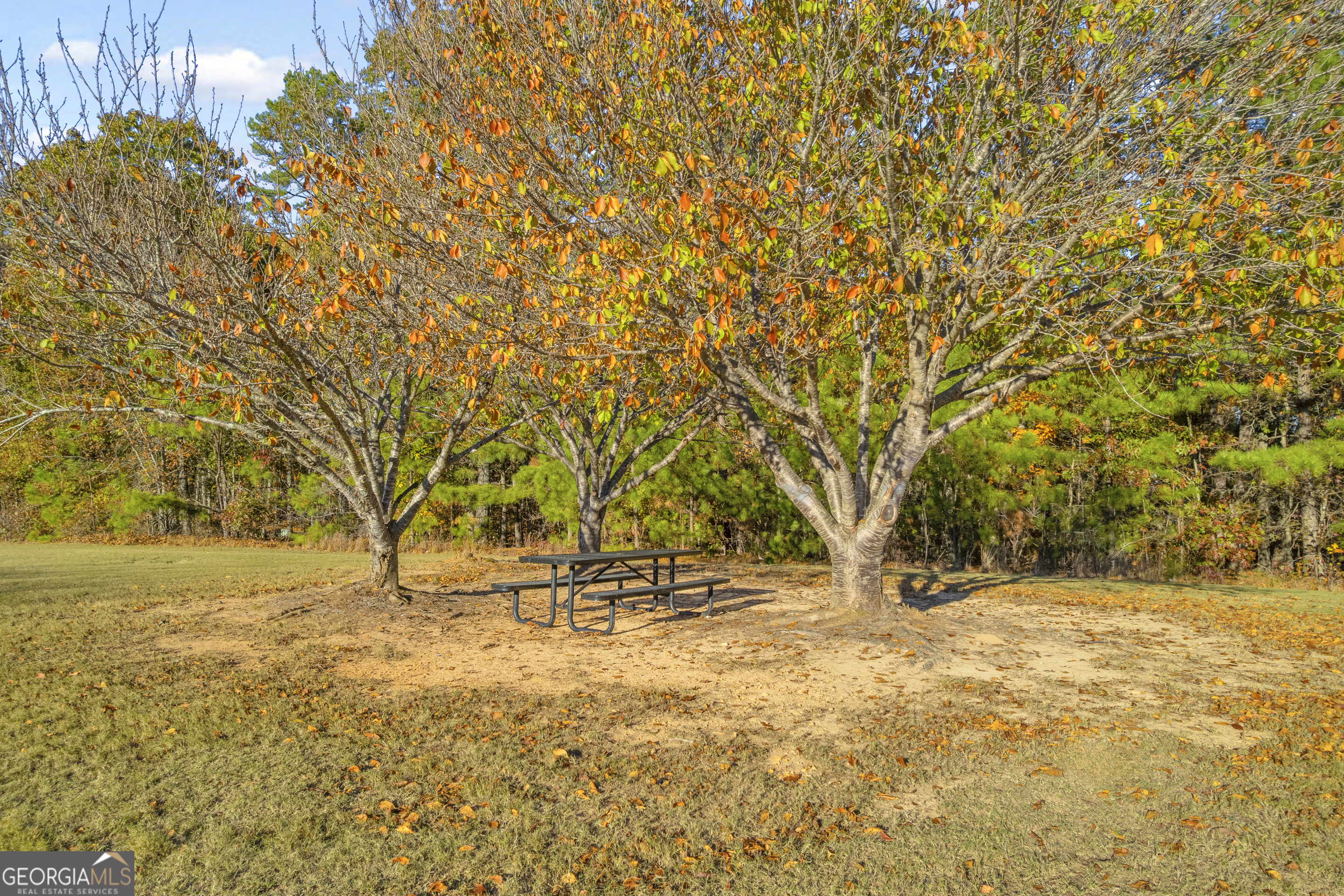 3001 Leatherleaf Trail Douglasville GA 30135