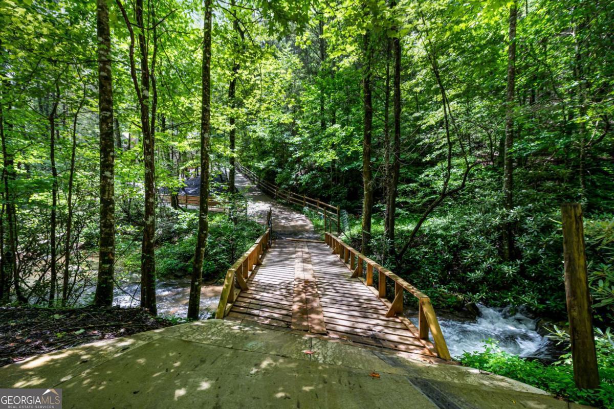 10323 Grassy Mountain Road Ellijay GA 30540