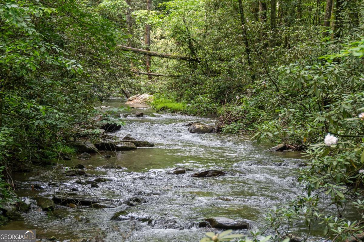 10323 Grassy Mountain Road Ellijay GA 30540