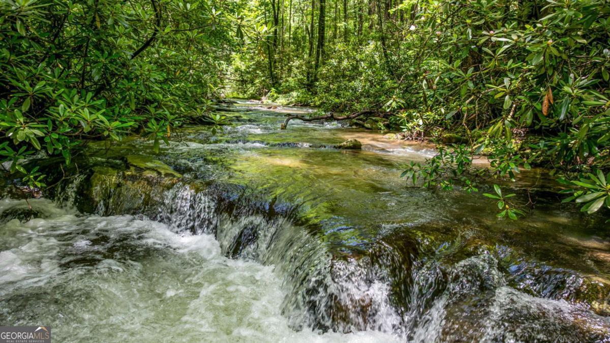 10323 Grassy Mountain Road Ellijay GA 30540