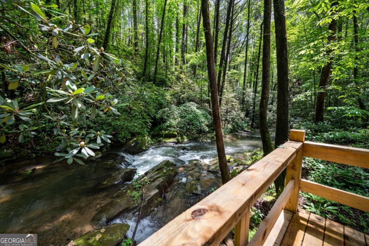 10323 Grassy Mountain Road Ellijay GA 30540