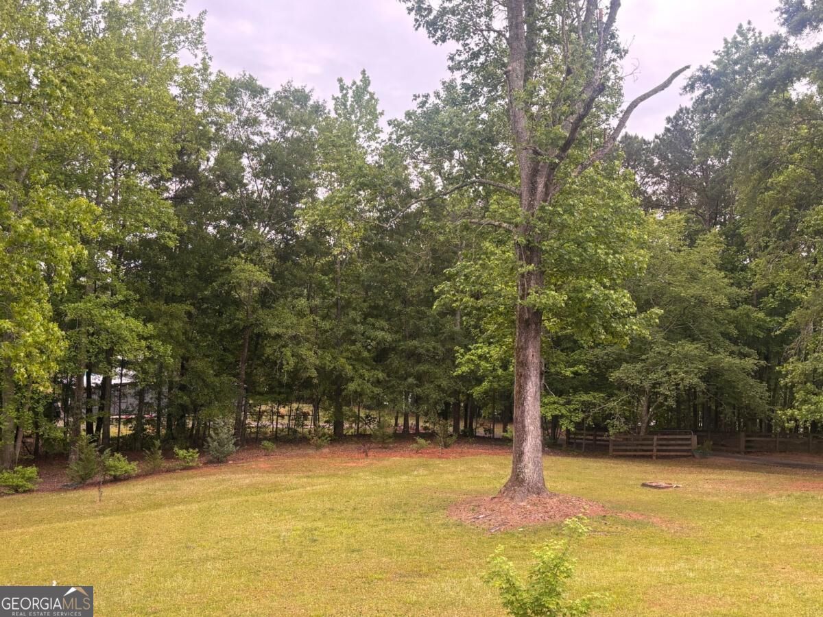 1110 Old Driver Road Whitesburg GA 30185