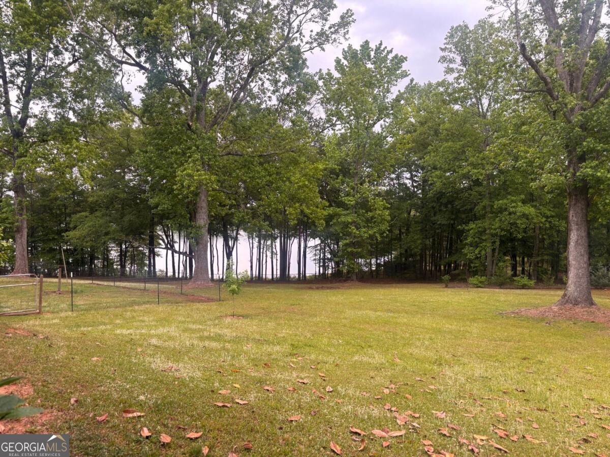 1110 Old Driver Road Whitesburg GA 30185