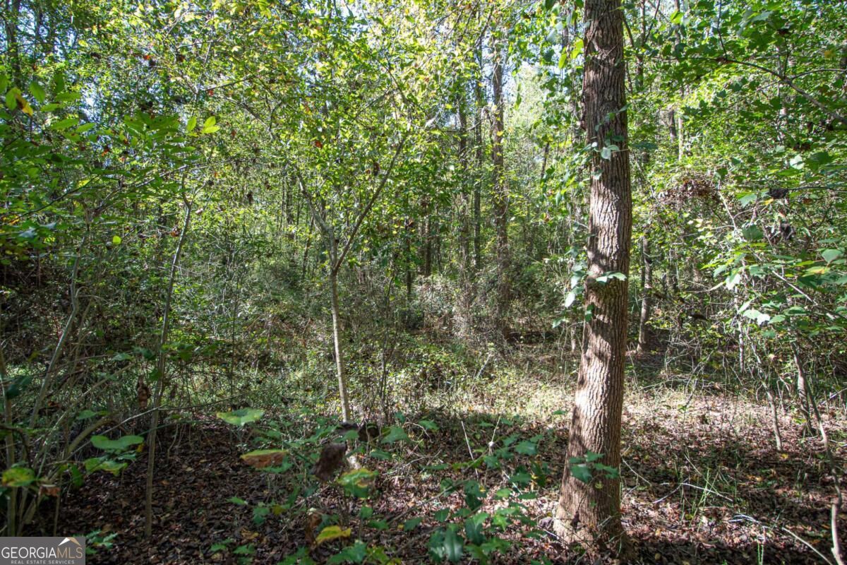 582 E County Line Road Danielsville GA 30633