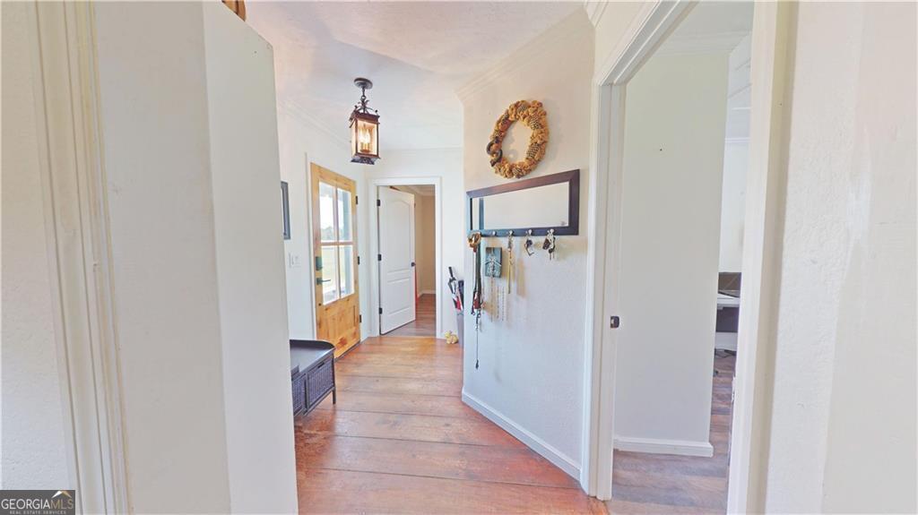 91 Cane Circle Nahunta GA 31553