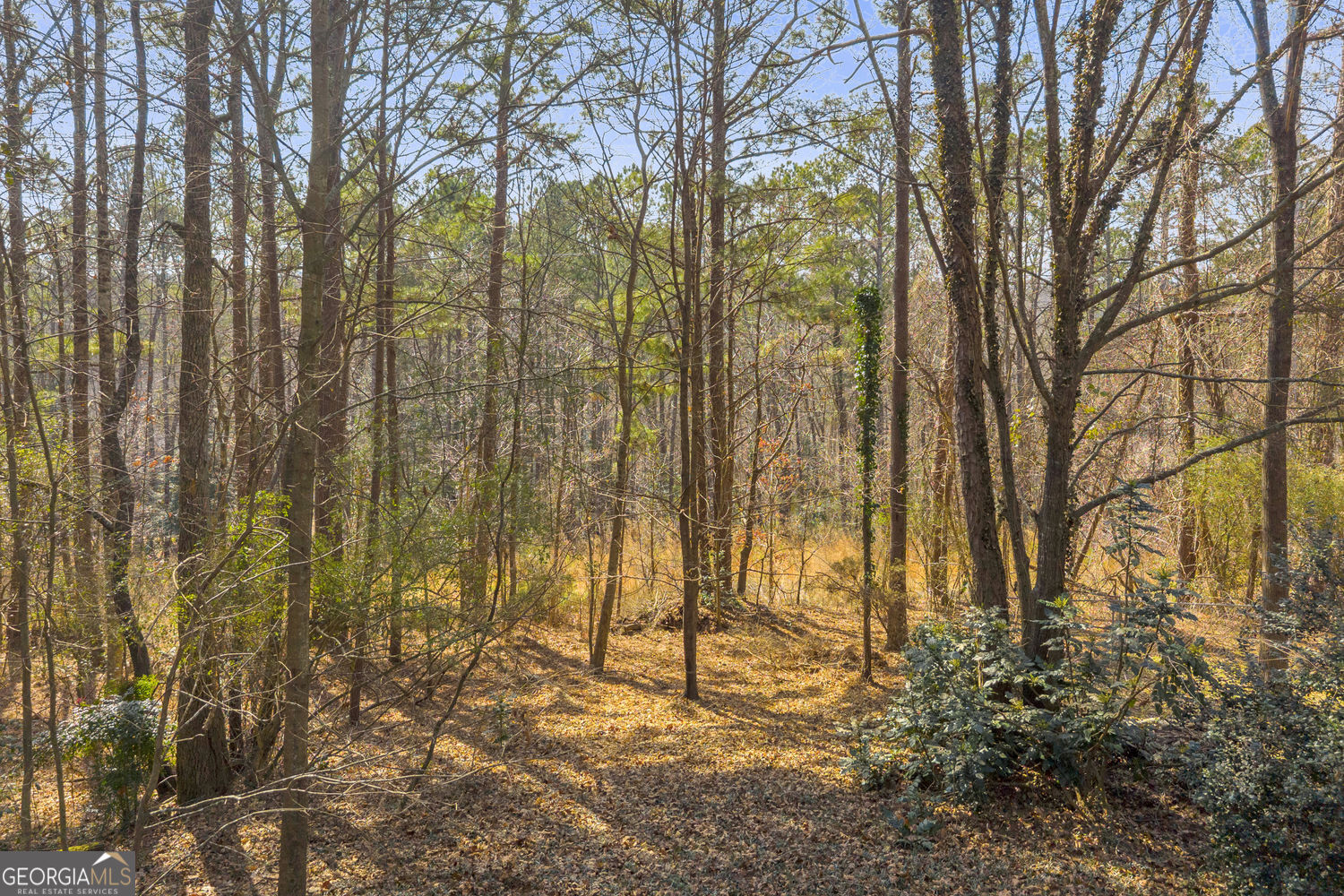 2878 Forest Court Loganville GA 30052