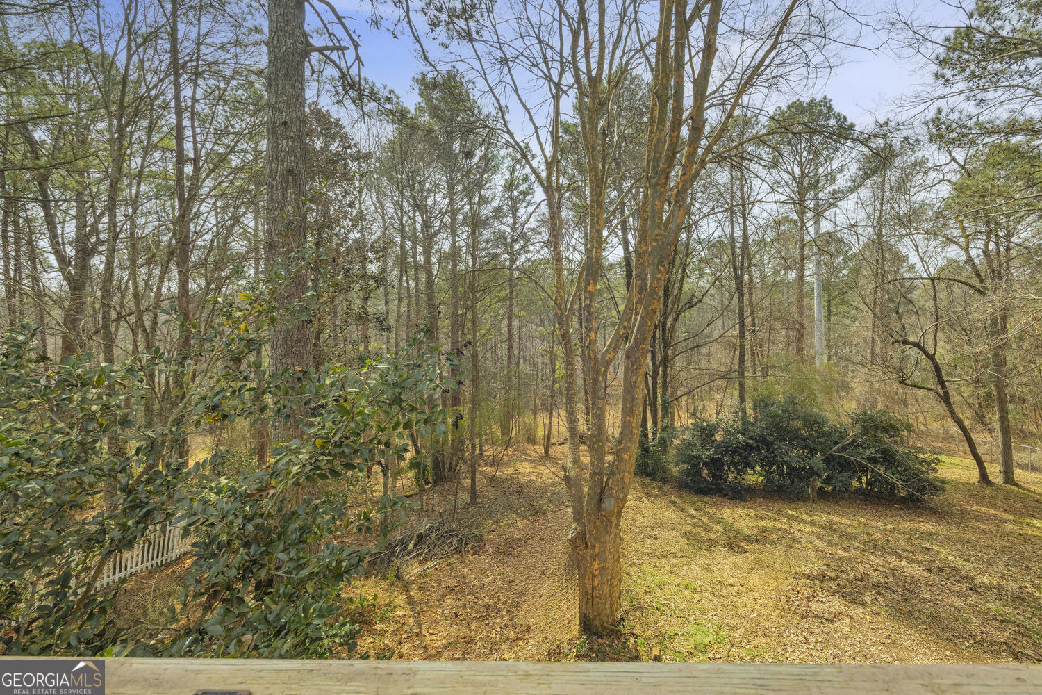2878 Forest Court Loganville GA 30052