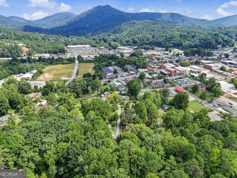 98 Pickett Hill Street Clayton GA 30525