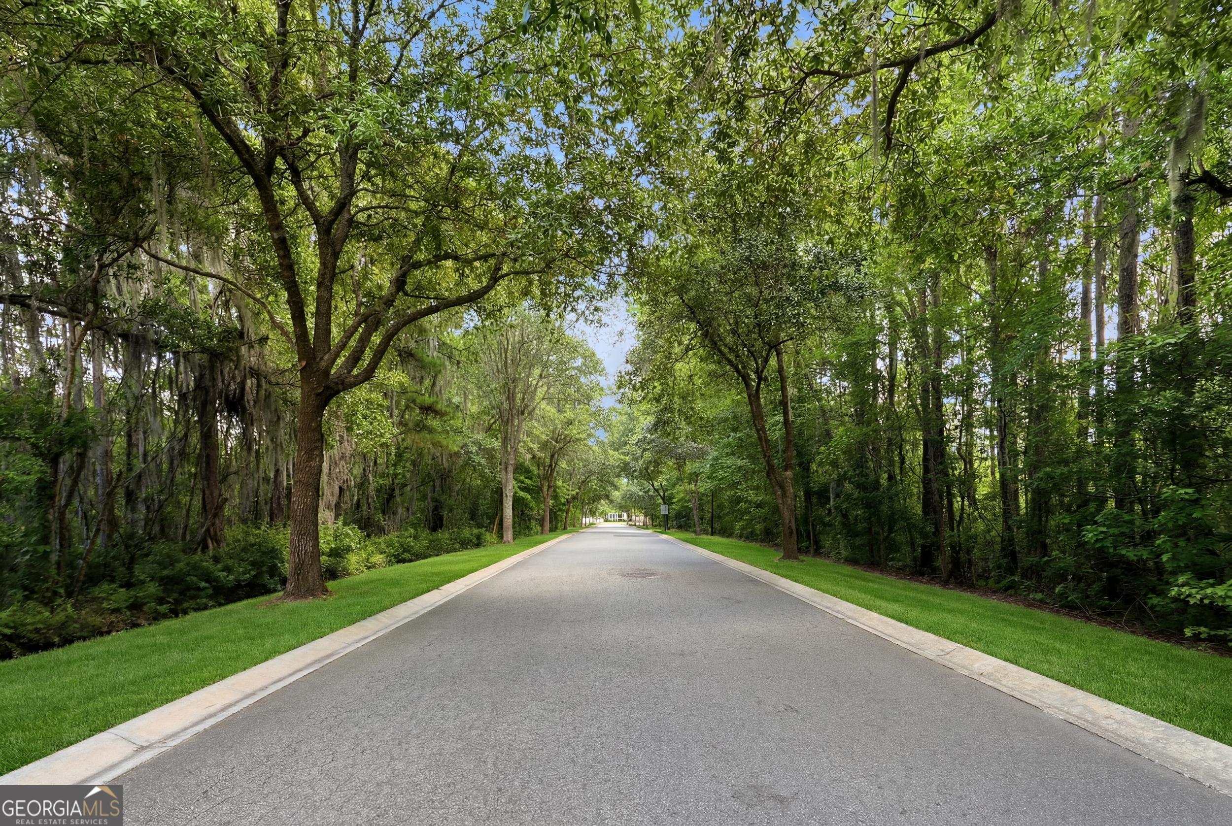39 Magnolia Bluff Drive Brunswick GA 31525