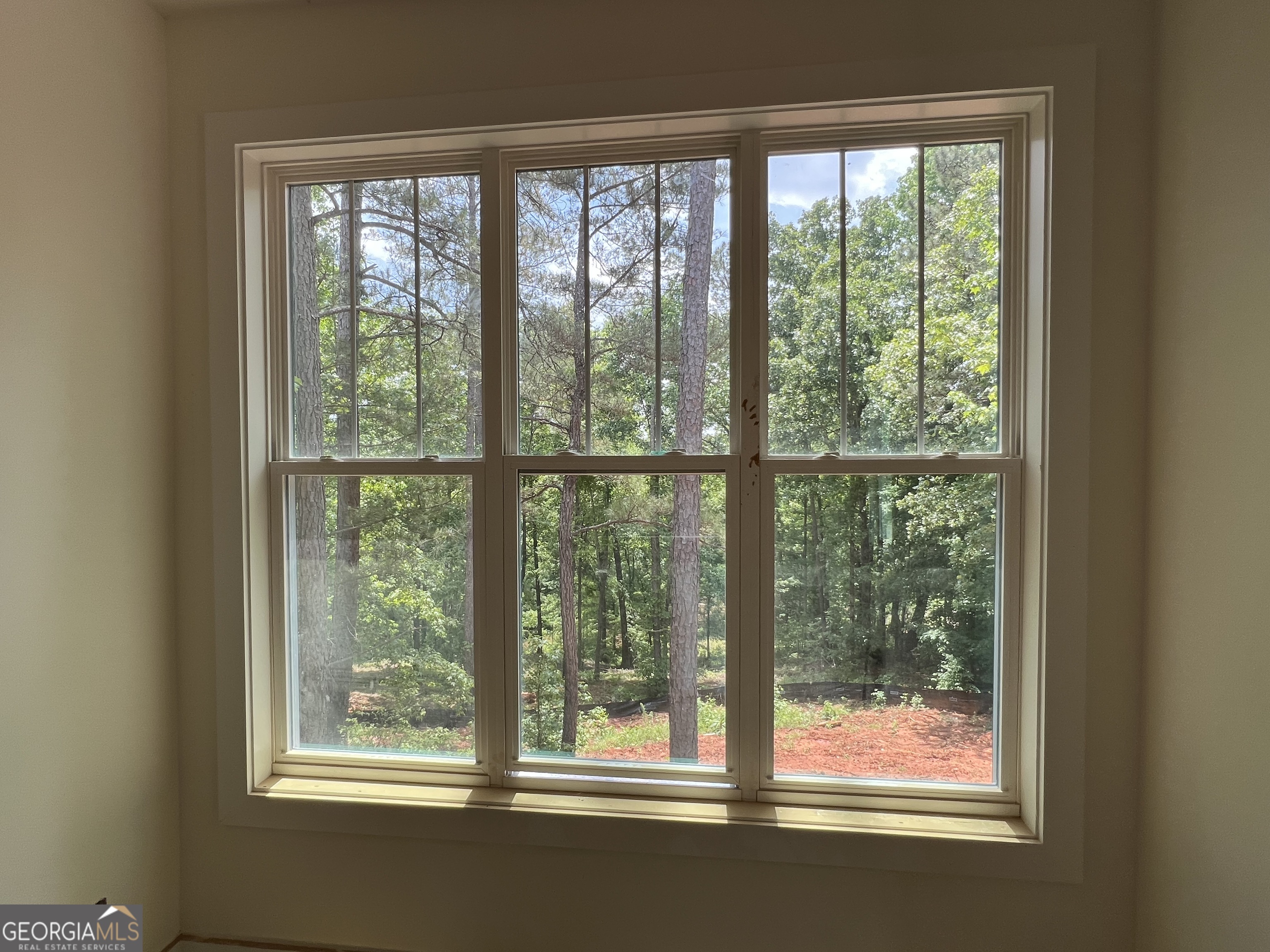 607 Forest Pointe Drive Forsyth GA 31029