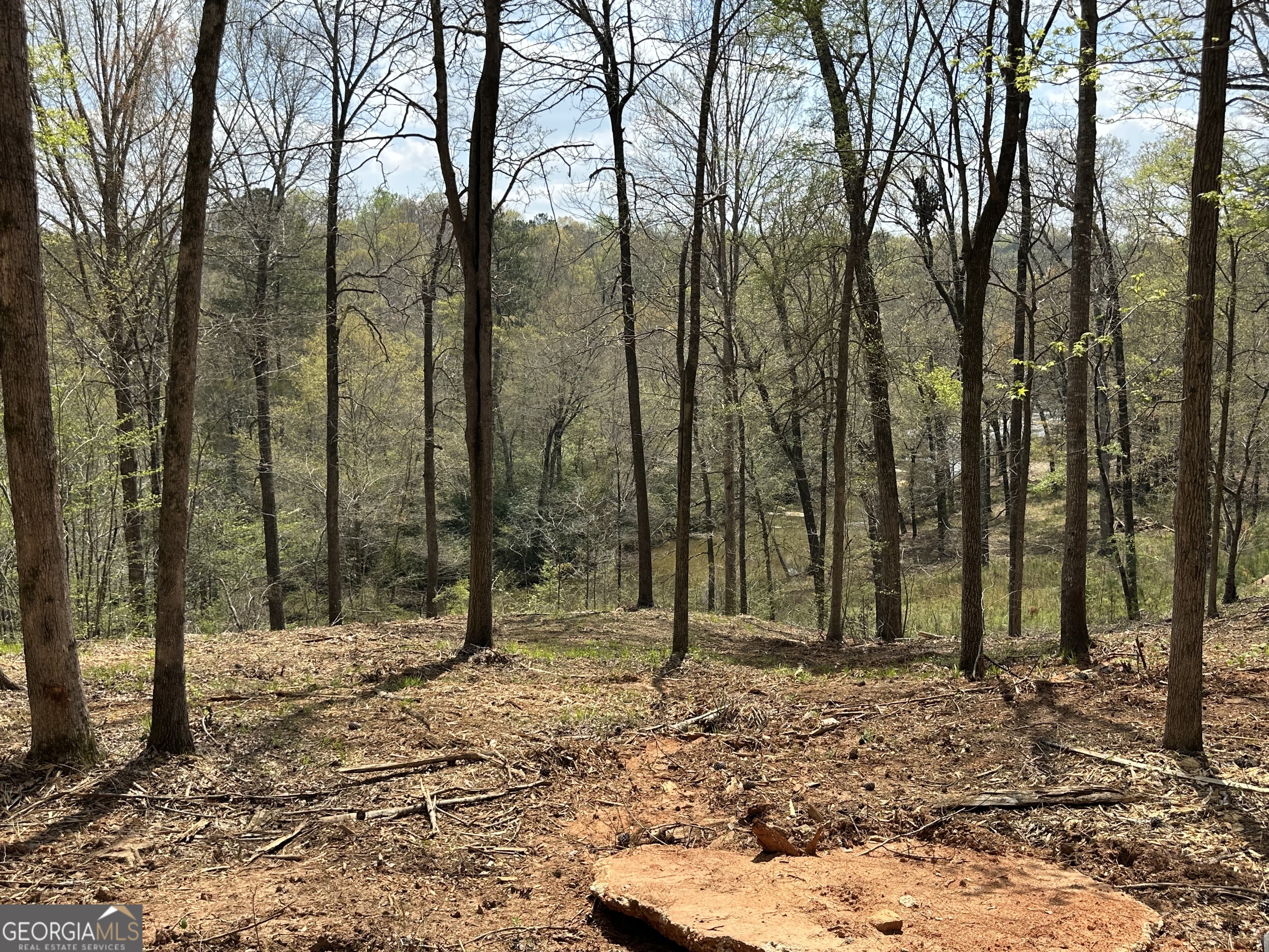 607 Forest Pointe Drive Forsyth GA 31029