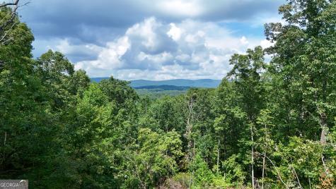 1947 Ivy Mountain Road Clarkesville GA 30523