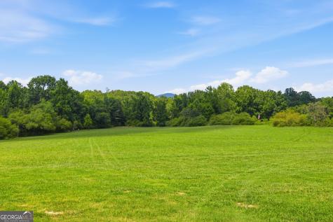 593/525 Amy's Creek Road Clarkesville GA 30523