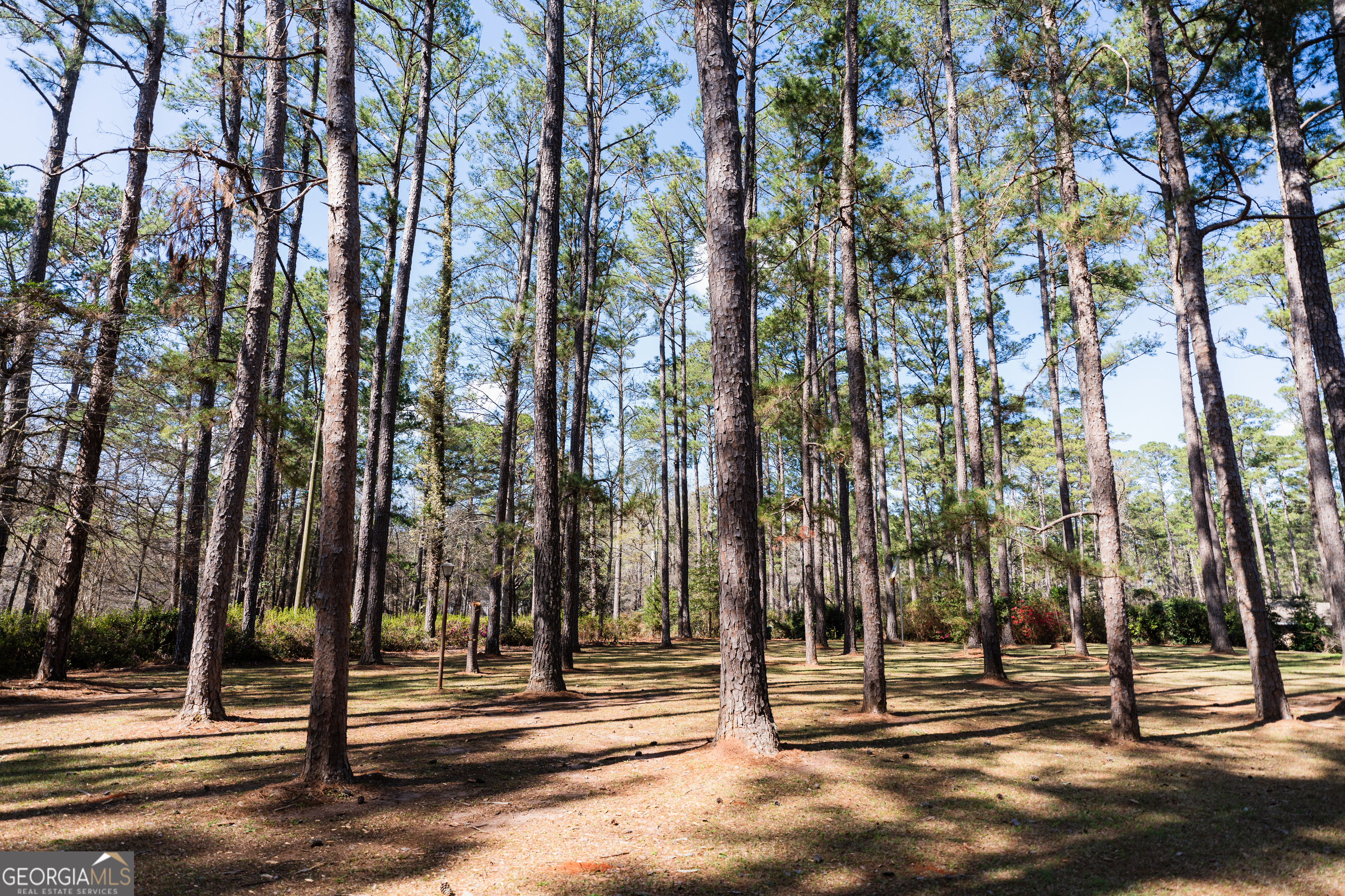 1270 Wadsworth Drive Albany GA 31721