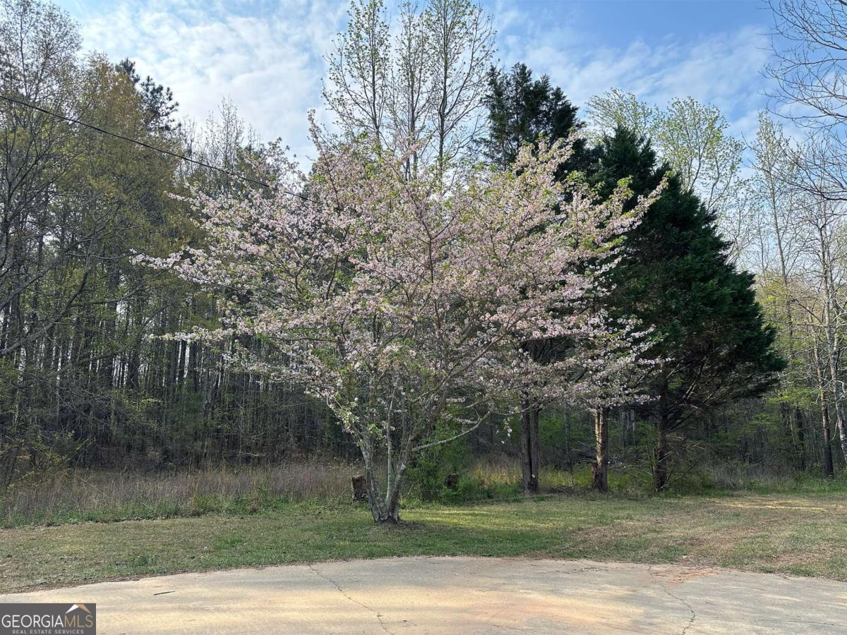 1104 Farm Road Colbert GA 30628