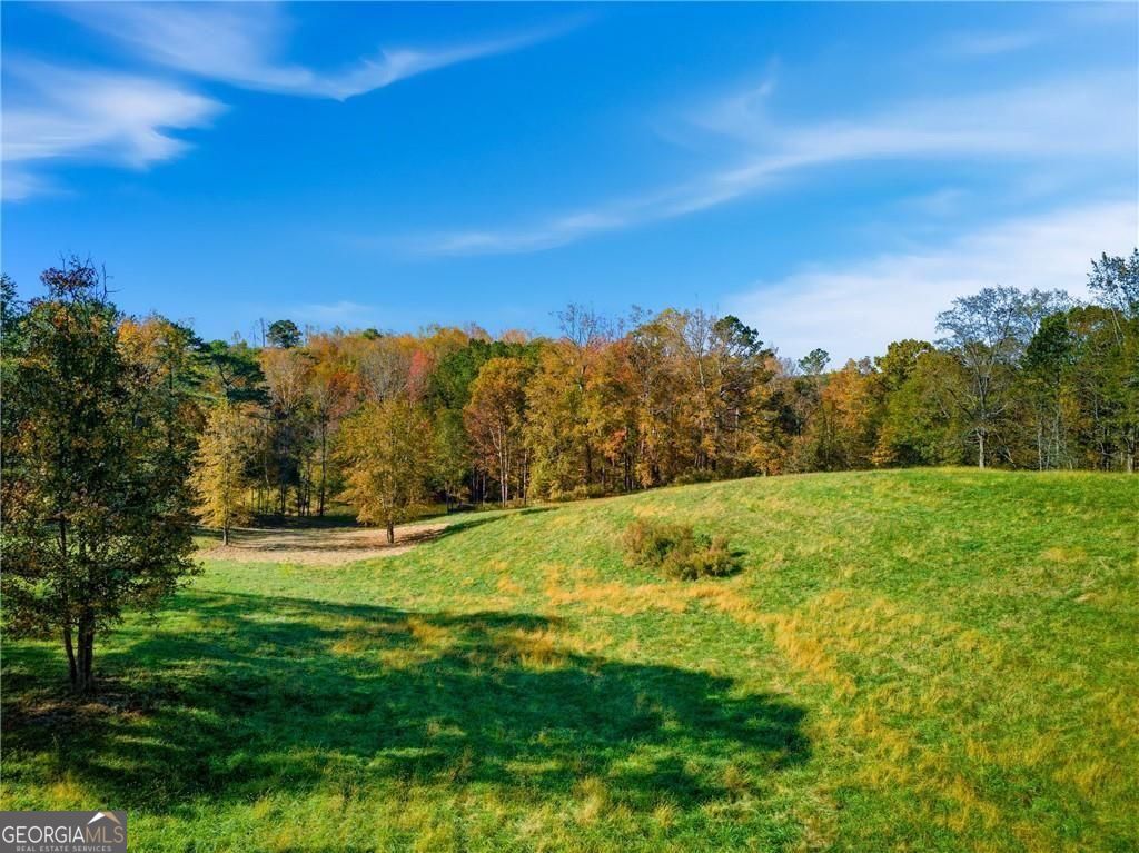 17230A Birmingham Highway Alpharetta GA 30004