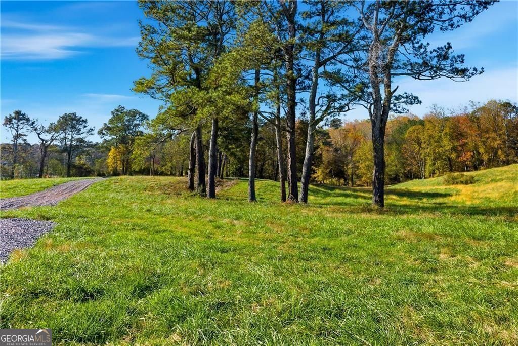 17230A Birmingham Highway Alpharetta GA 30004