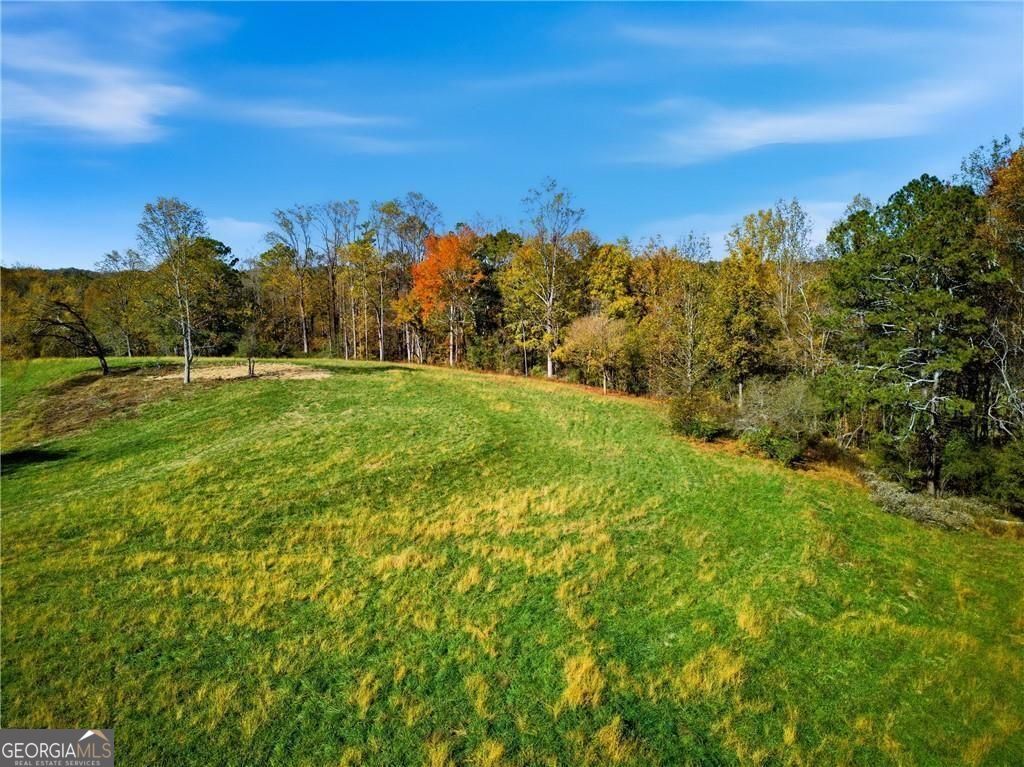 17230A Birmingham Highway Alpharetta GA 30004