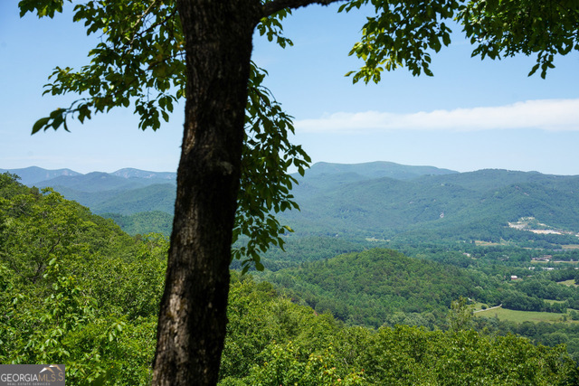 786 Hope Haven Lane Rabun Gap GA 30568