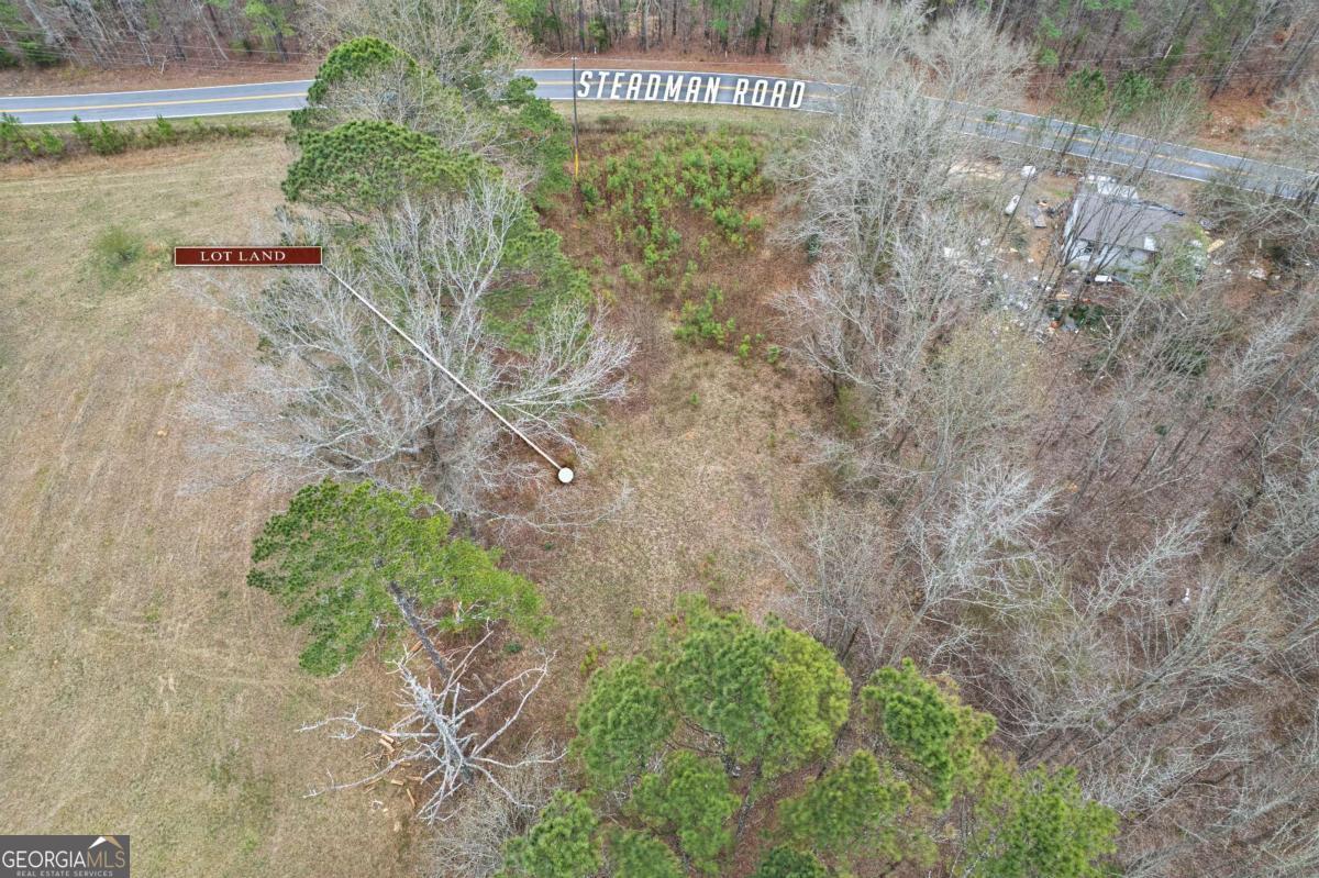5534 Steadman Road Tallapoosa GA 30176