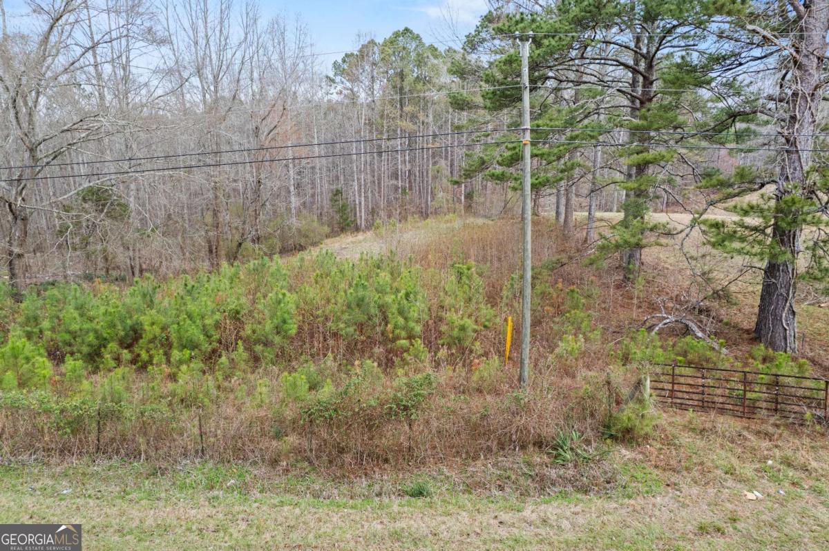 5534 Steadman Road Tallapoosa GA 30176