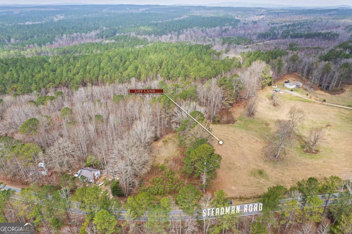5534 Steadman Road Tallapoosa GA 30176
