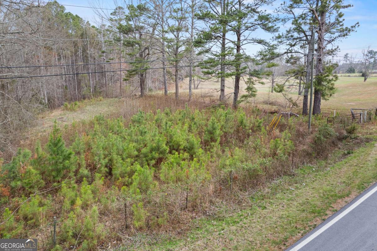 5534 Steadman Road Tallapoosa GA 30176