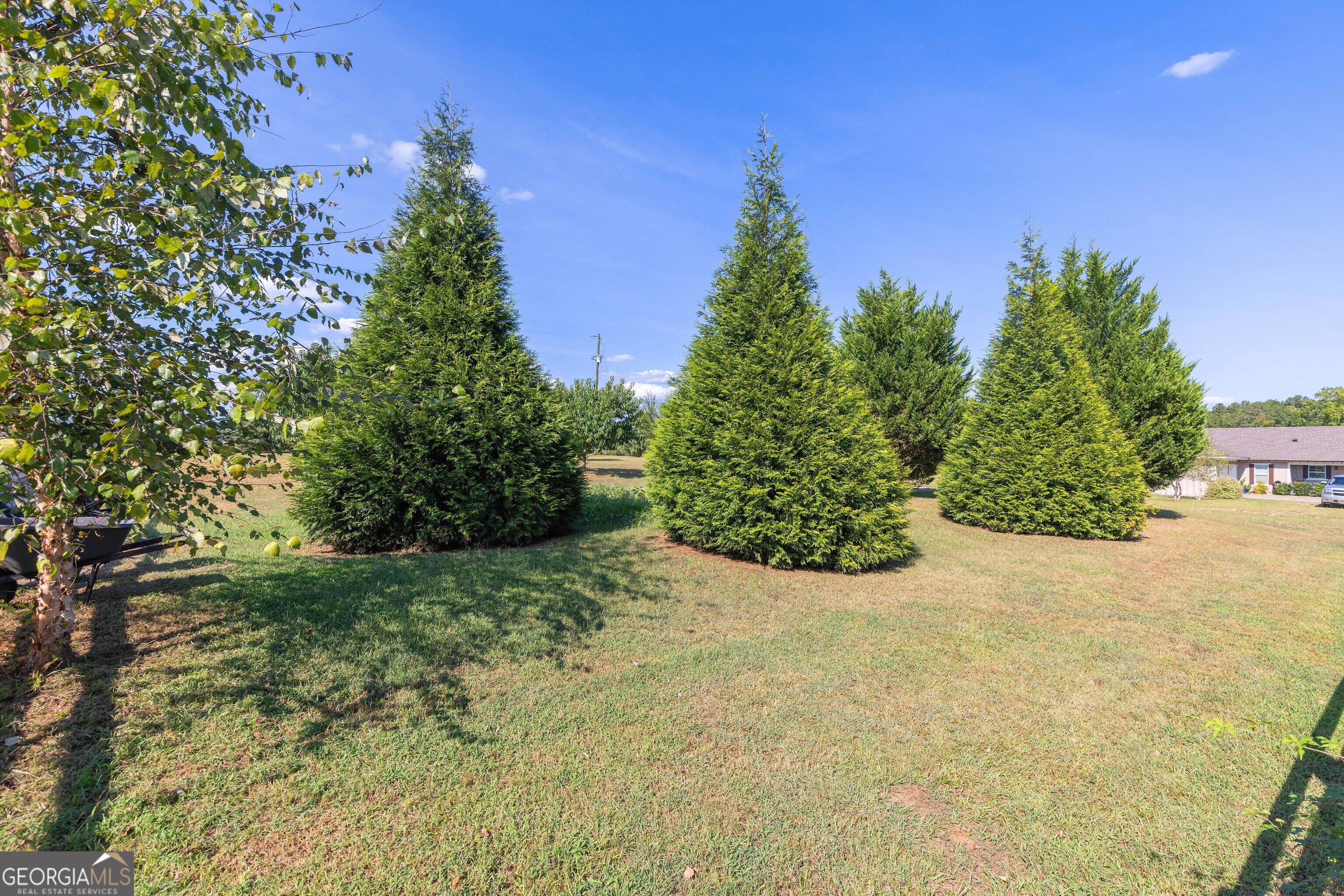 670 Bethany Church Road Pine Mountain GA 31822