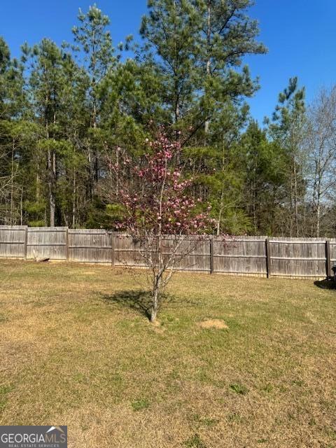 134 Delenn Drive Lizella GA 31052
