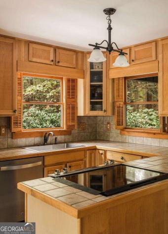 360 Serenity Lane Hayesville NC 28904