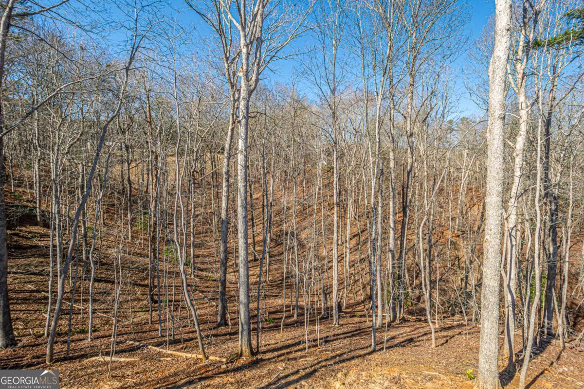 1415 Calhoun Road Dahlonega GA 30533