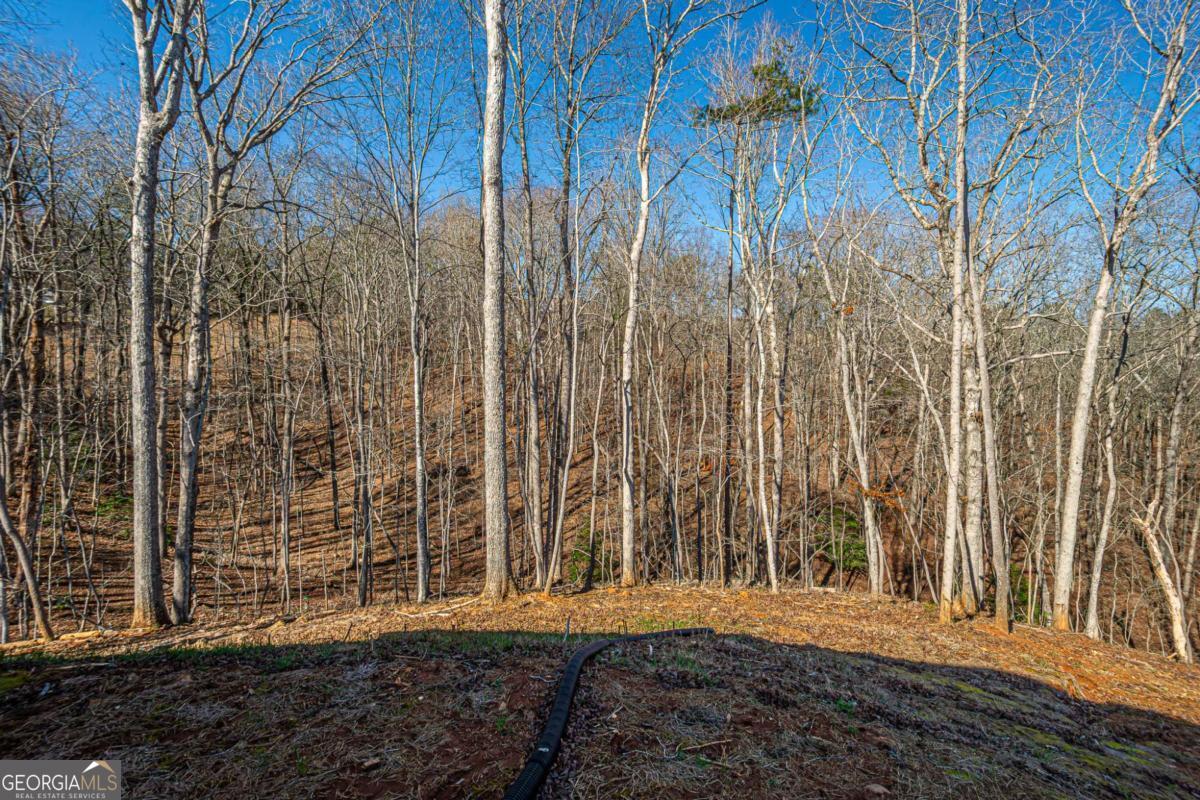 1415 Calhoun Road Dahlonega GA 30533
