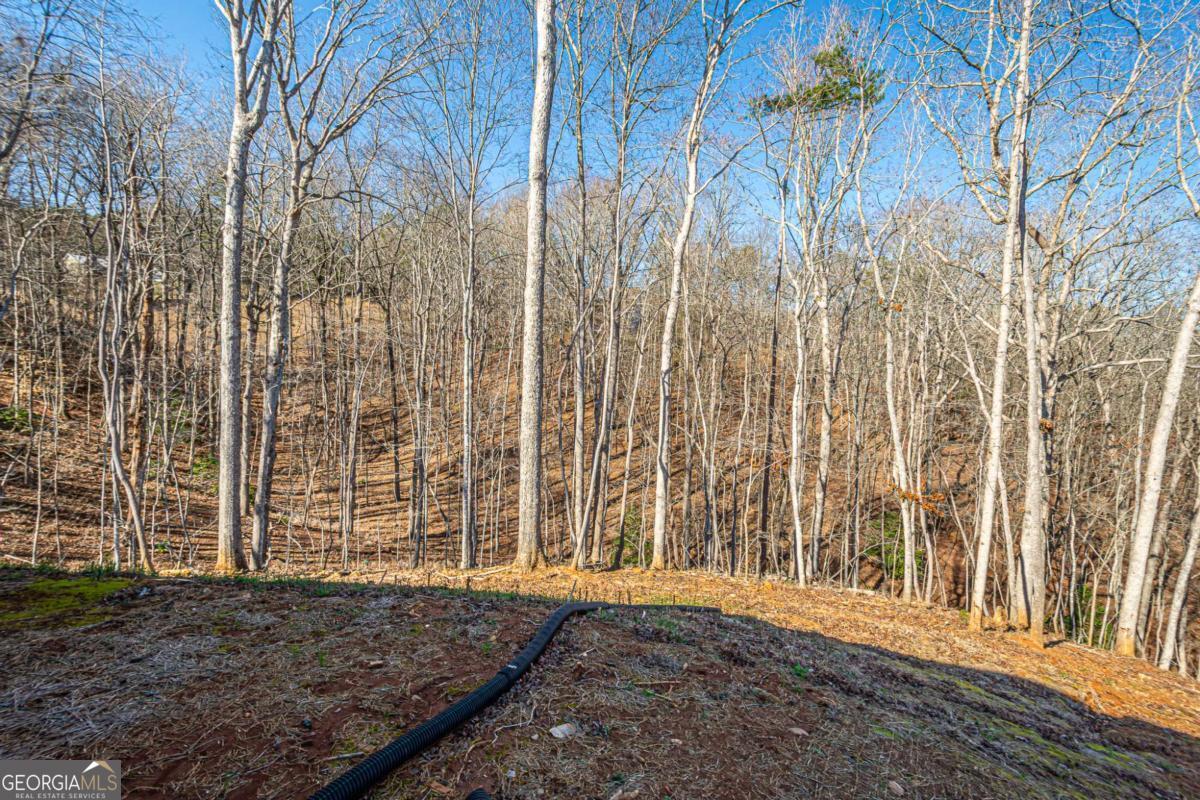 1415 Calhoun Road Dahlonega GA 30533
