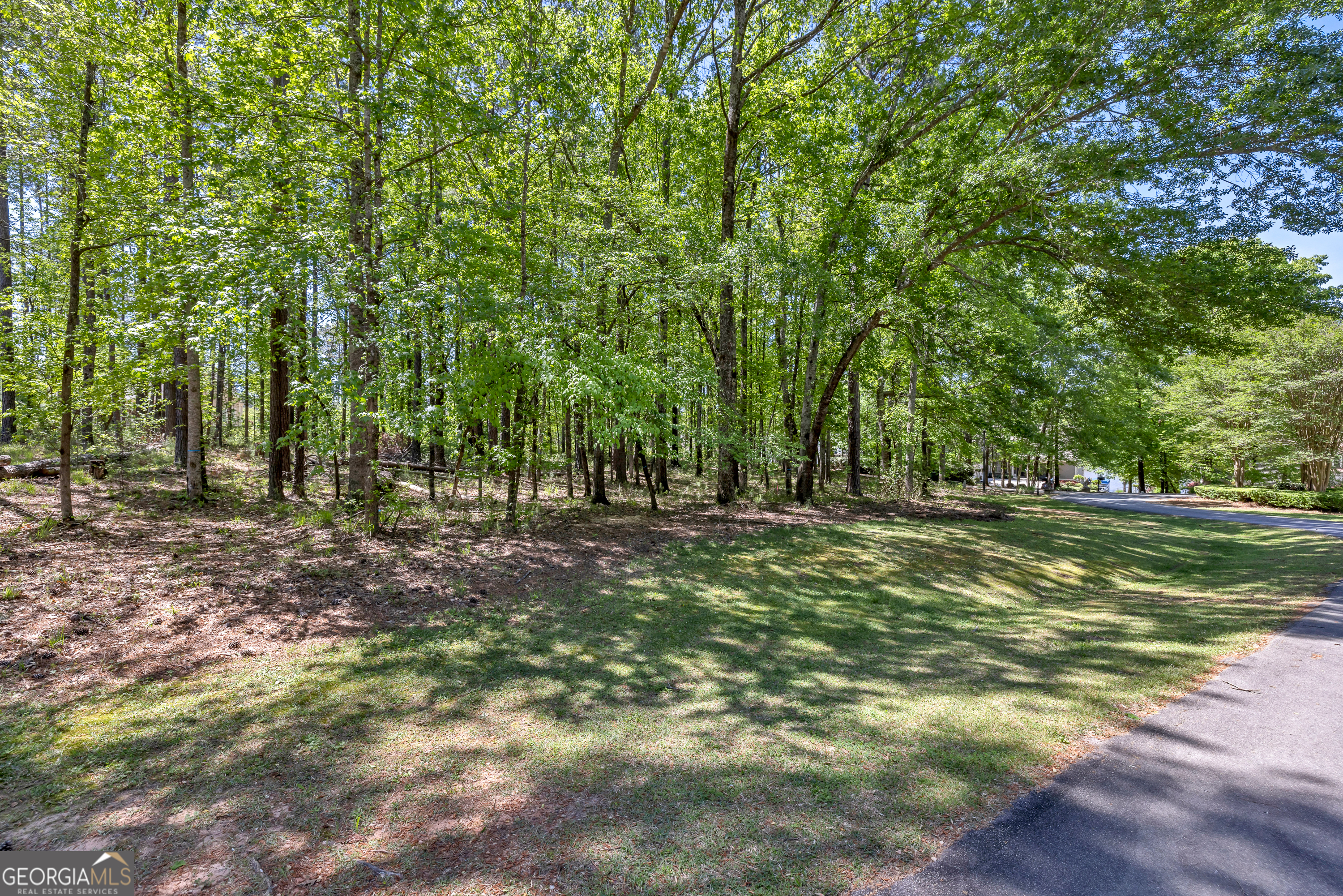 1010 Troon Court Greensboro GA 30642