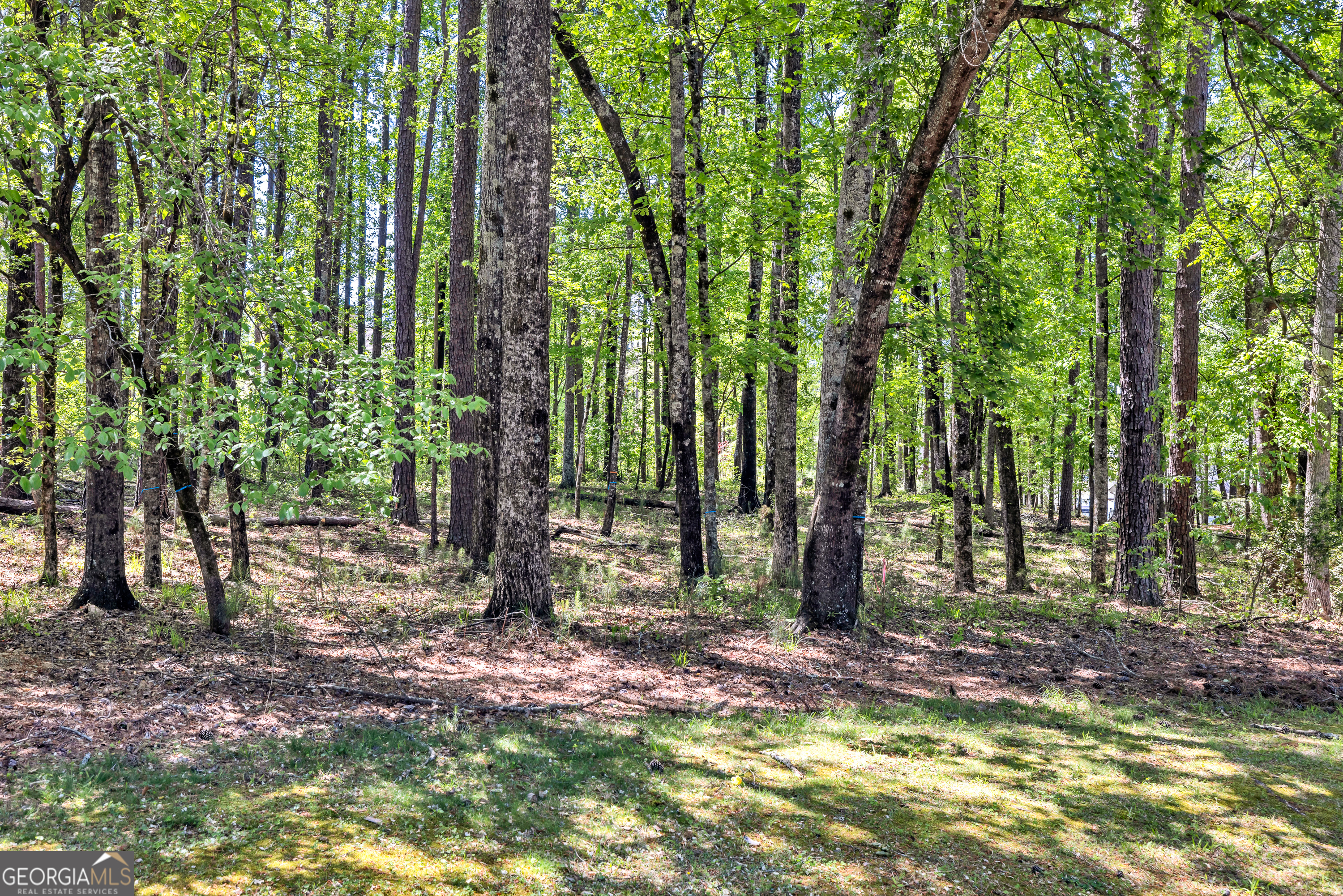 1010 Troon Court Greensboro GA 30642