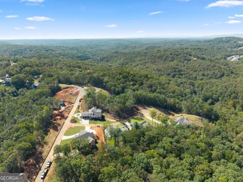 30 Overlook Cove Dahlonega GA 30533