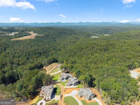 30 Overlook Cove Dahlonega GA 30533