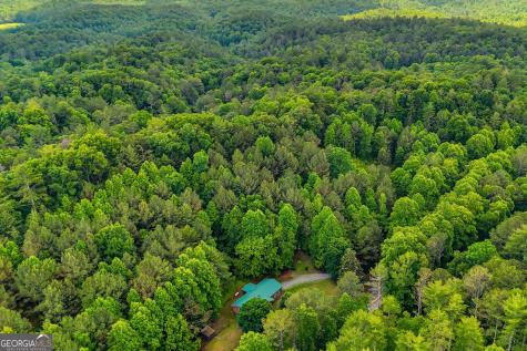 7741 Chatsworth Highway Ellijay GA 30540