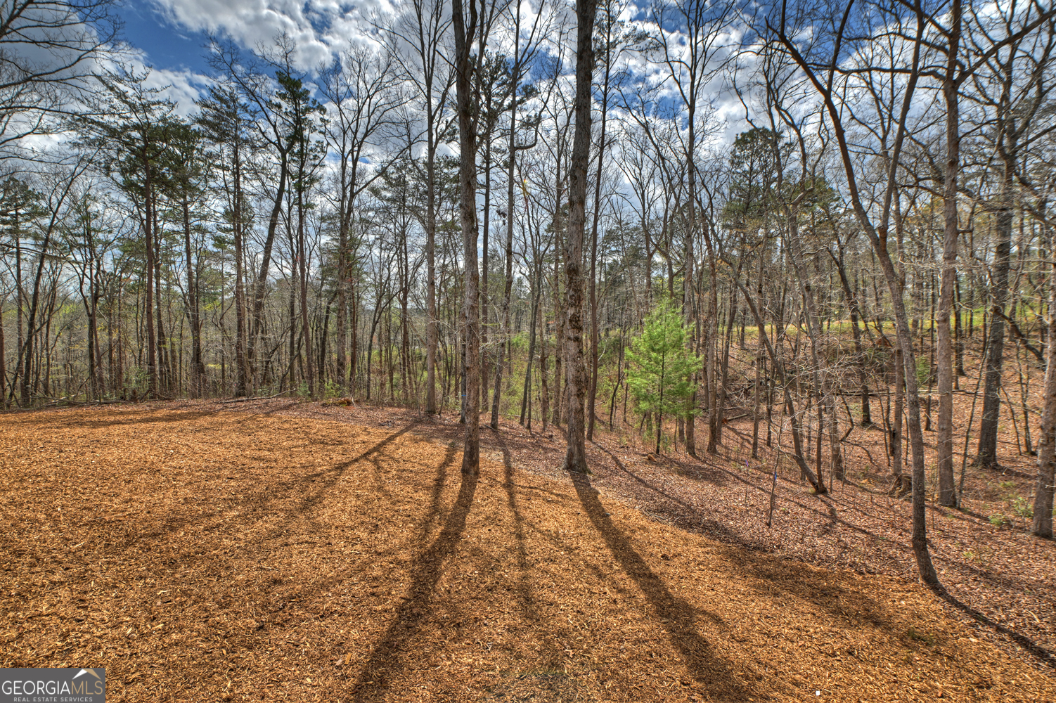 191 Hilton Drive Ellijay GA 30540