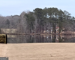 101 Lakesprings Drive Mcdonough GA 30252
