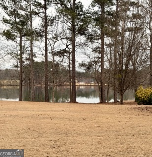101 Lakesprings Drive Mcdonough GA 30252