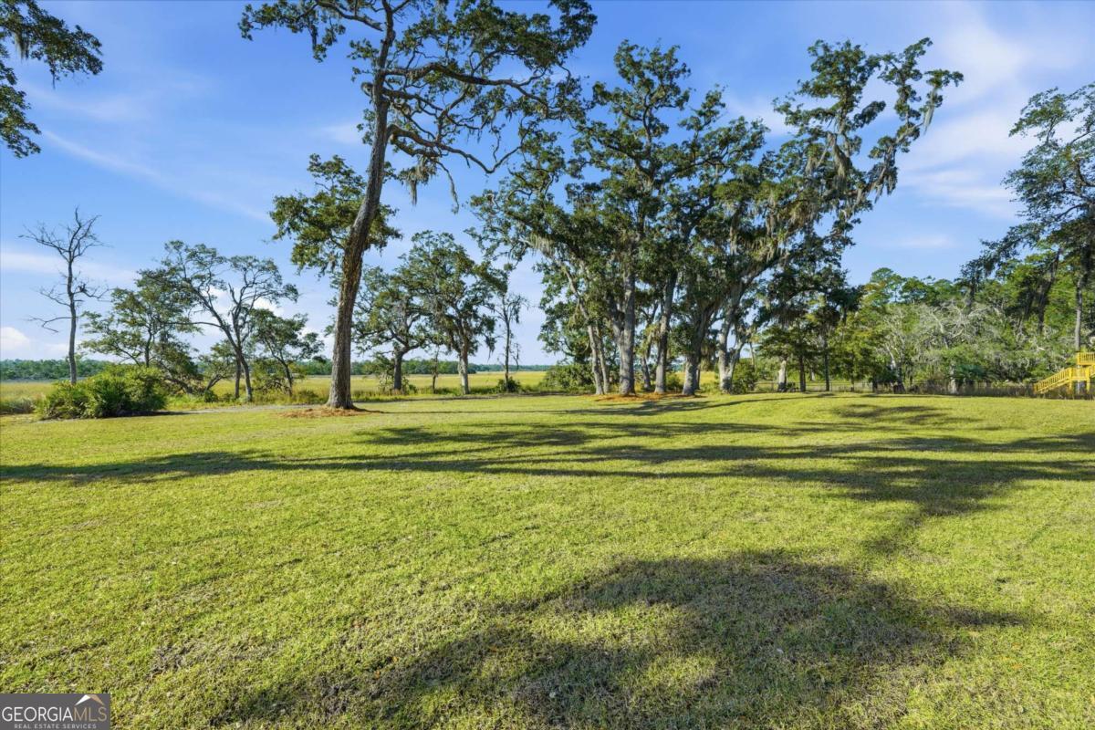 3551 Julienton Drive NE Townsend GA 31331
