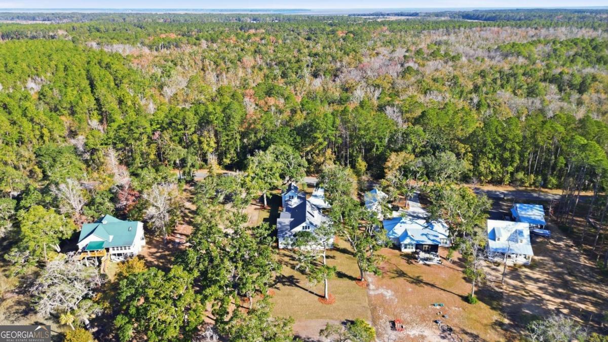 3551 Julienton Drive NE Townsend GA 31331