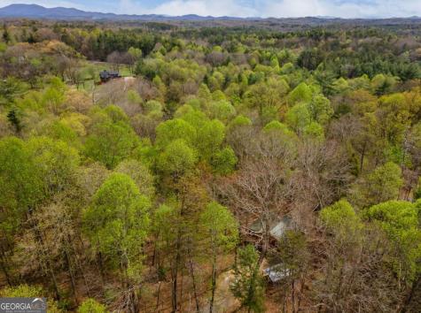 159 Pack Creek Road Blue Ridge GA 30513